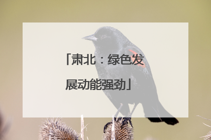 肃北：绿色发展动能强劲