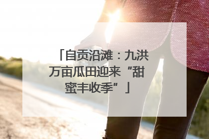 自贡沿滩：九洪万亩瓜田迎来“甜蜜丰收季”