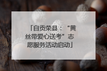 自贡荣县：“黄丝带爱心送考”志愿服务活动启动