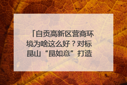 自贡高新区营商环境为啥这么好？对标昆山“昆如意”打造自贡“高兴办”｜美好生活有“盐”味