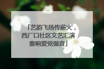 艺韵飞扬传薪火，西厂口社区文艺汇演奏响爱党强音