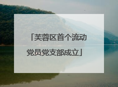 芙蓉区首个流动党员党支部成立