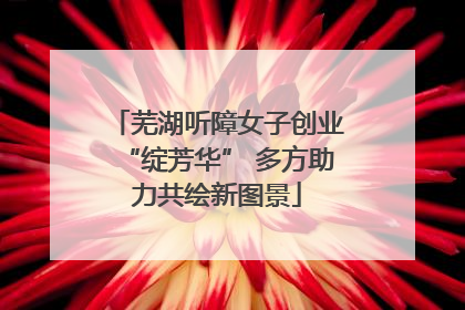 芜湖听障女子创业“绽芳华” 多方助力共绘新图景