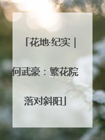 花地·纪实｜何武豪：繁花院落对斜阳