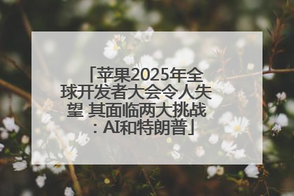 苹果2025年全球开发者大会令人失望 其面临两大挑战：AI和特朗普
