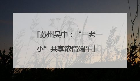苏州吴中：“一老一小”共享浓情端午