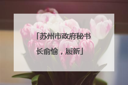 苏州市政府秘书长俞愉，履新
