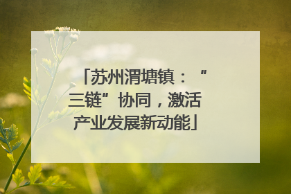 苏州渭塘镇：“三链”协同，激活产业发展新动能
