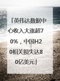 英伟达数据中心收入大涨超70%，中国H20相关损失达80亿美元