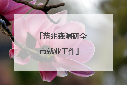 范兆森调研全市就业工作