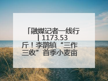 融媒记者一线行丨1173.53斤！李鹊镇“三作三收”首季小麦亩产创新高