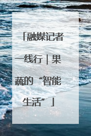 融媒记者一线行｜果蔬的“智能生活”