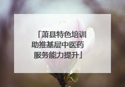 萧县特色培训助推基层中医药服务能力提升