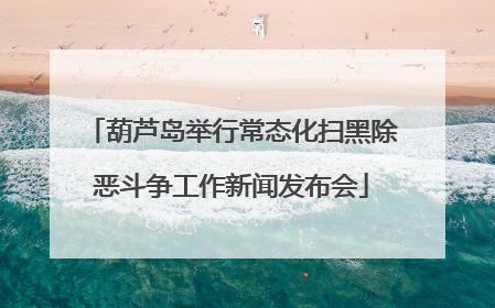 葫芦岛举行常态化扫黑除恶斗争工作新闻发布会