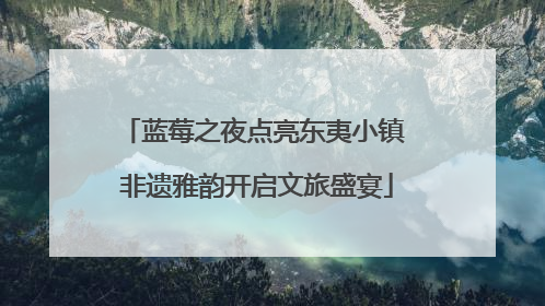 蓝莓之夜点亮东夷小镇 非遗雅韵开启文旅盛宴