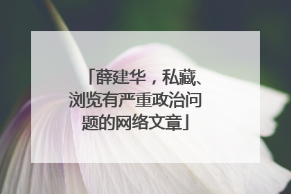 薛建华，私藏、浏览有严重政治问题的网络文章