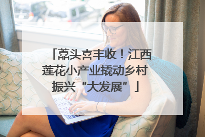藠头喜丰收！江西莲花小产业撬动乡村振兴“大发展”
