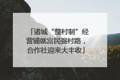 诸城“整村制”经营铺就富民强村路，合作社迎来大丰收