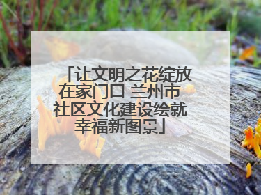 让文明之花绽放在家门口 兰州市社区文化建设绘就幸福新图景