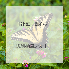 让每一颗心灵找到栖息之所