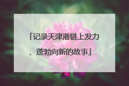 记录天津港链上发力、蓬勃向新的故事