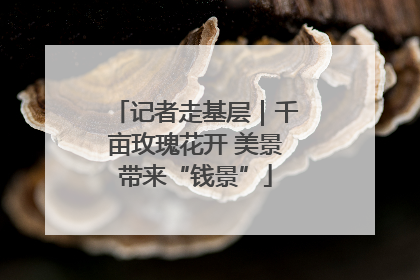 记者走基层｜千亩玫瑰花开 美景带来“钱景”