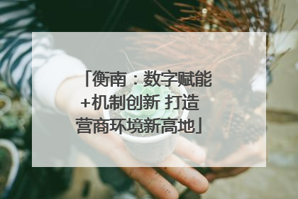 衡南：数字赋能+机制创新 打造营商环境新高地
