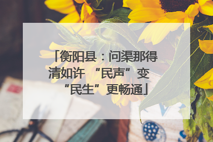 衡阳县：问渠那得清如许 “民声”变“民生”更畅通