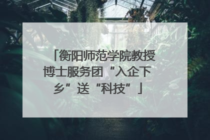 衡阳师范学院教授博士服务团“入企下乡”送“科技”