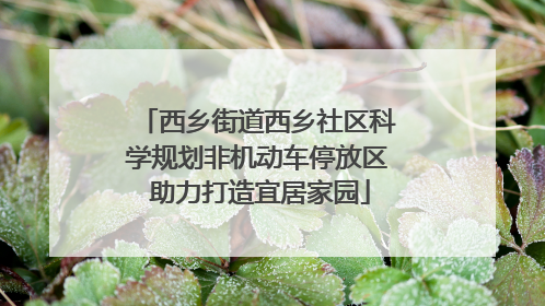 西乡街道西乡社区科学规划非机动车停放区 助力打造宜居家园