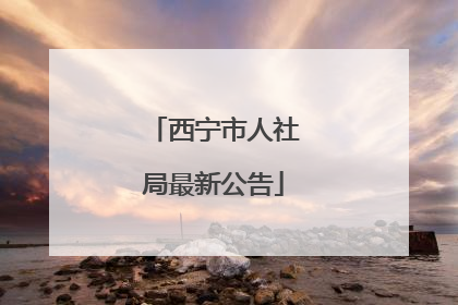 西宁市人社局最新公告
