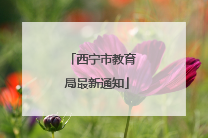 西宁市教育局最新通知
