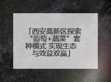 西安高新区探索“葡萄+蔬菜”套种模式 实现生态与效益双赢