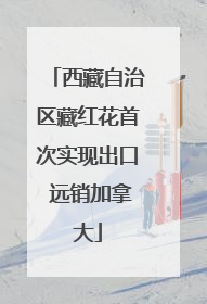 西藏自治区藏红花首次实现出口 远销加拿大