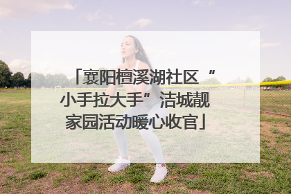 襄阳檀溪湖社区“小手拉大手”洁城靓家园活动暖心收官