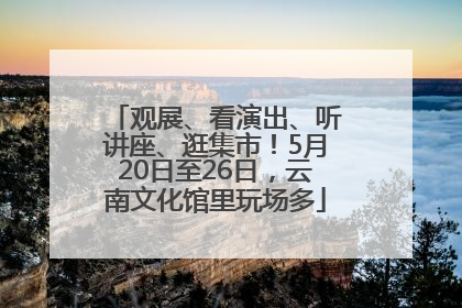 观展、看演出、听讲座、逛集市！5月20日至26日，云南文化馆里玩场多