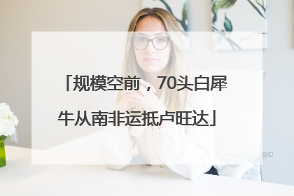 规模空前，70头白犀牛从南非运抵卢旺达
