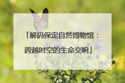 解码保定自然博物馆：跨越时空的生命交响