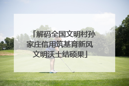 解码全国文明村孙家庄信用筑基育新风文明沃土结硕果