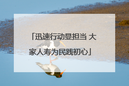 迅速行动显担当 大家人寿为民践初心