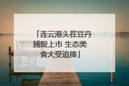 连云港头茬豆丹捕捉上市 生态美食大受追捧