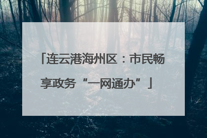 连云港海州区：市民畅享政务“一网通办”