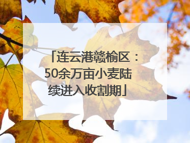 连云港赣榆区：50余万亩小麦陆续进入收割期