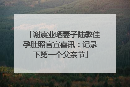 谢震业晒妻子陆敏佳孕肚照官宣喜讯：记录下第一个父亲节