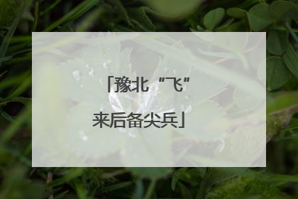 豫北“飞”来后备尖兵