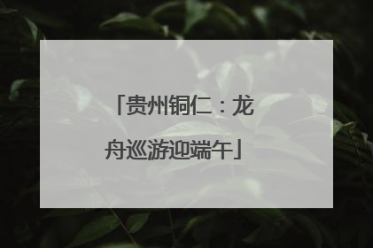 贵州铜仁：龙舟巡游迎端午