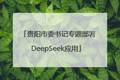 贵阳市委书记专题部署DeepSeek应用
