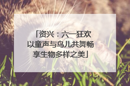 资兴：六一狂欢 以童声与鸟儿共舞畅享生物多样之美
