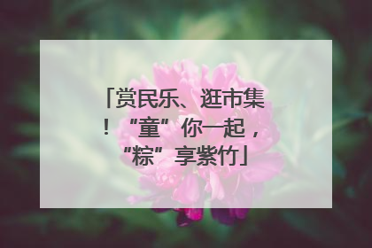 赏民乐、逛市集！“童”你一起，“粽”享紫竹