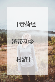 赏荷经济带动乡村游
